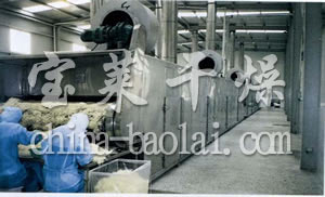 DWC系列脱水蔬菜带式干燥机